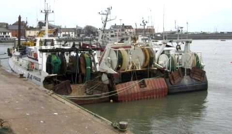 skerries-harbour-2008-ii.jpg